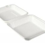 SCATOLA MEAL 1 SCOMP. 1200 ML 236X231X81MM BAGASSA BIANCO