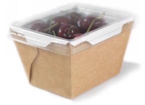 WEB_057401338.jpg CONTENIT.RETT.SIGILLAB.500ML KRAFT AVANA 100/84X89/63X72MM - immagine 1