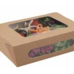 INSALATIERA CART.C/FINESTRA PLA KRAFT 160/140X120/100X50MM