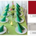 TOVAGLIA ROTOLO H.120X10 MT  PP FIESTA BORDEAUX