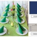 TOVAGLIA ROTOLO H.120X10 MT  PP FIESTA BLU