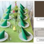 TOVAGLIA ROTOLO H.120X10 MT  PP FIESTA MARRONE