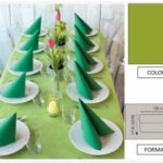 TOVAGLIA ROTOLO H.120X10 MT  PP FIESTA KIWI