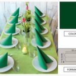 TOVAGLIA ROTOLO H.120X10 MT  PP FIESTA VERDE