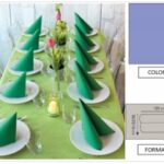 TOVAGLIA ROTOLO H.120X10 MT PP FIESTA VIOLETTO