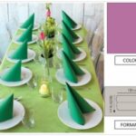 TOVAGLIA ROTOLO H.120X25 MT PP FIESTA FUXIA