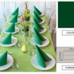 TOVAGLIA ROTOLO H.120X25 MT PP FIESTA VERDE