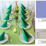 TOVAGLIA ROTOLO H.120X25 MT PP FIESTA VIOLETTTO