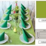 TOVAGLIA ROTOLO H.120X25 MT PP FIESTA KIWI