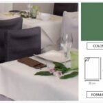 TOVAGLIOLO AIRLAID MINOTTO P/4 DECORATO 20X40 VERDE