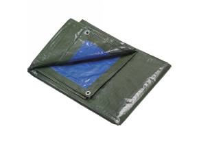 WEB_187035.jpg TELO RAFIA MT 6X8 - immagine 1