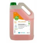 WE CLEAN GREEN BRILLANTANTE KG. 5