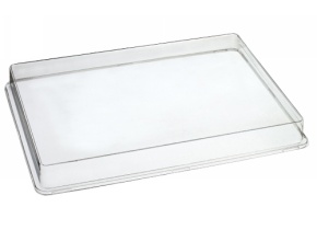 WEB_317800479.jpg COUVERCLE TRANSPARENT X PLATEAU QUARTZ PULPE DE CANNE GN1/4 - immagine 1