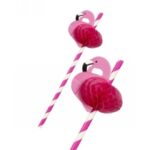 PAILLES CARTON 195 MM Ø 6 MM FLAMANT ROSE X100