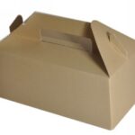 SCATOLA DA ASPORTO C/MANICO KRAFT 265X128X180 MM