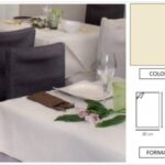 TOVAGLIOLO AIRLAID MINOTTO P/4 20X40 AVORIO