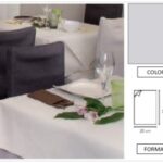 TOVAGLIOLO AIRLAID MINOTTO P/4 DECORATO 20X40 GRIGIO PERLA