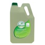 GREEN CLEAN BRILLANTANTE LAVASTOVIGLIE KG. 5