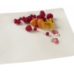 ASSIETTE IMAGINE 250X250 PULPE DE CANNE PAR 50 C&C