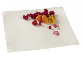 WEB_317800032.jpg ASSIETTE IMAGINE 250X250 PULPE DE CANNE PAR 50 C&C - immagine 1