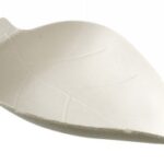 MEB FEUILLE PULPE DE CANNE PAR 50 C&C