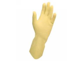 WEB_433000039.jpg GUANTI LATTICE NEUTRO RIUSABILE NON FELPATO TG. S - 6/6,5 - immagine 1