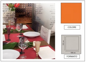WEB_063700000.jpg COPRIMACCHIA PLP FIESTA ARANCIO 100X100 - immagine 1