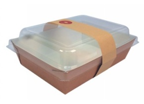 WEB_317800705.jpg VASCHETTA CON COPERCHIO E FASCETTA CHIUSURA 1000ML - immagine 1