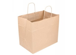 WEB_243200179.jpg BORSA PER GASTRONOMIE FONDO LARGO 32+21X28CM - immagine 1