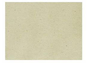WEB_034400030.jpg TOVAGLIETTE CARTA PAGLIA CHAMPAGNE 35X50 (NEW PACK) - immagine 1