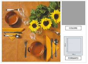 WEB_063700836.jpg TOVAGLIA 150X150 PP FIESTA ARGENTO - immagine 1