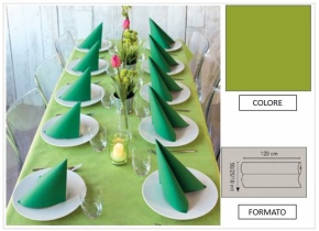 WEB_063700848.jpg TOVAGLIA ROTOLO H.120X10 MT PP FIESTA KIWI - immagine 1