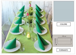 WEB_063700858.jpg TOVAGLIA ROTOLO H.120X10 MT PP FIESTA PERLA - immagine 1