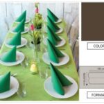 TOVAGLIA ROTOLO H.120X25 MT PP FIESTA MARRONE