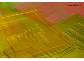 WEB_074000000.jpg IMPIANTO CONTENITORI PIZZA 1/4 COLORI (PREVENTIVO) - immagine 1