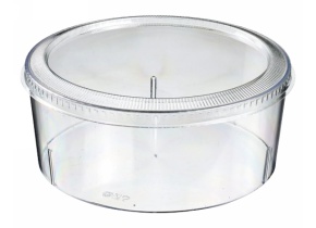 WEB_317800142.jpg CIOTOLINA BODEGA 650 ML - immagine 1
