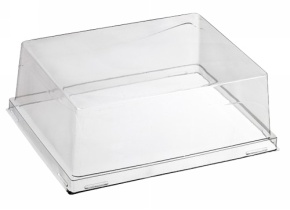 WEB_317800441.jpg COUVERCLE TRANSP.X ASSIETTE QUARTZ PULPE CANNE 160X100MM - immagine 1