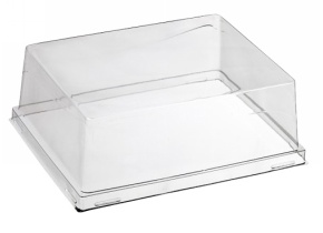 WEB_317800442.jpg COUVERCLE TRANSP.X ASSIETTE QUARTZ PULPE CANNE 160X160MM - immagine 1