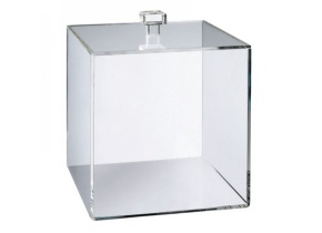 WEB_317800495.jpg CUBO PMMA 250X250 MM CON COPERCHIO - immagine 1