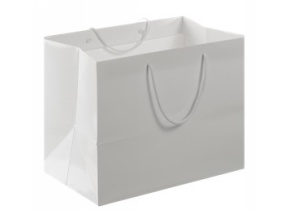 WEB_317800879.jpg BORSA CARTA VERNICIATA BIANCA - immagine 1
