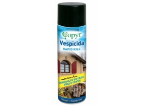 WEB_029600039.jpg INSETTICIDA COPYR RAPID KILL VESPICIDA ML. 750 - immagine 1