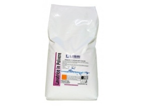 WEB_287100071.jpg POWERCLEAN LAV. POLVERE LINEASILVER KG. 8 - immagine 1