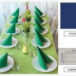 TOVAGLIA PLP ROTOLOH120 CM X25M BLU