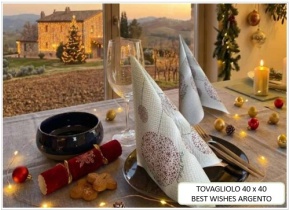 WEB_063701274.jpg TOVAGLIOLO BEST WISHES 40X40 CM ARGENTO - immagine 1