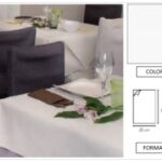 TOVAGLIOLO AIRLAID MINOTTO P/4 20X40 BIANCO
