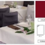 TOVAGLIOLO AIRLAID MINOTTO P/4 20X40 BORDEAUX