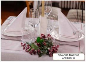WEB_063701426.jpg TOVAGLIA AGRIFOGLIO 100X100CM - ARGENTO - immagine 1