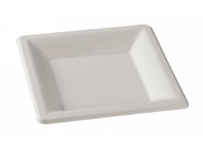 WEB_317800015.jpg ASSIETTE CARRÉE PULPE DE CANNE 260X260X15 MM - immagine 1