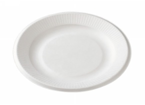 WEB_317800050.jpg ASSIETTE PULPE DE CANNE Ø 260 MM PAR 50 - immagine 1
